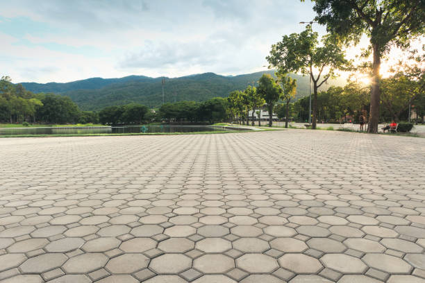 Best Decorative Driveway Pavers  in Holliday, TX